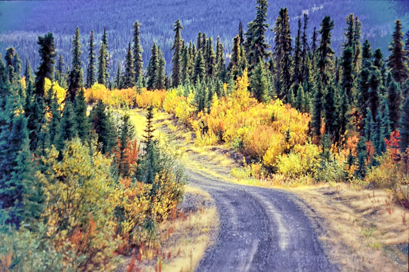 North Canol Road, Yukon